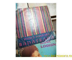 radio  cu  lampi si  placi